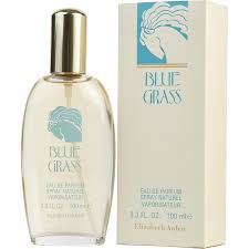 ELIZABETH ARDEN BLUE GRASS W EDP 3.4 OZ SP
